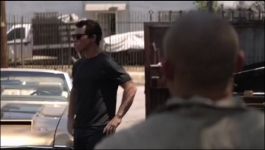 Animal Kingdom US - Season 06 Episode 08